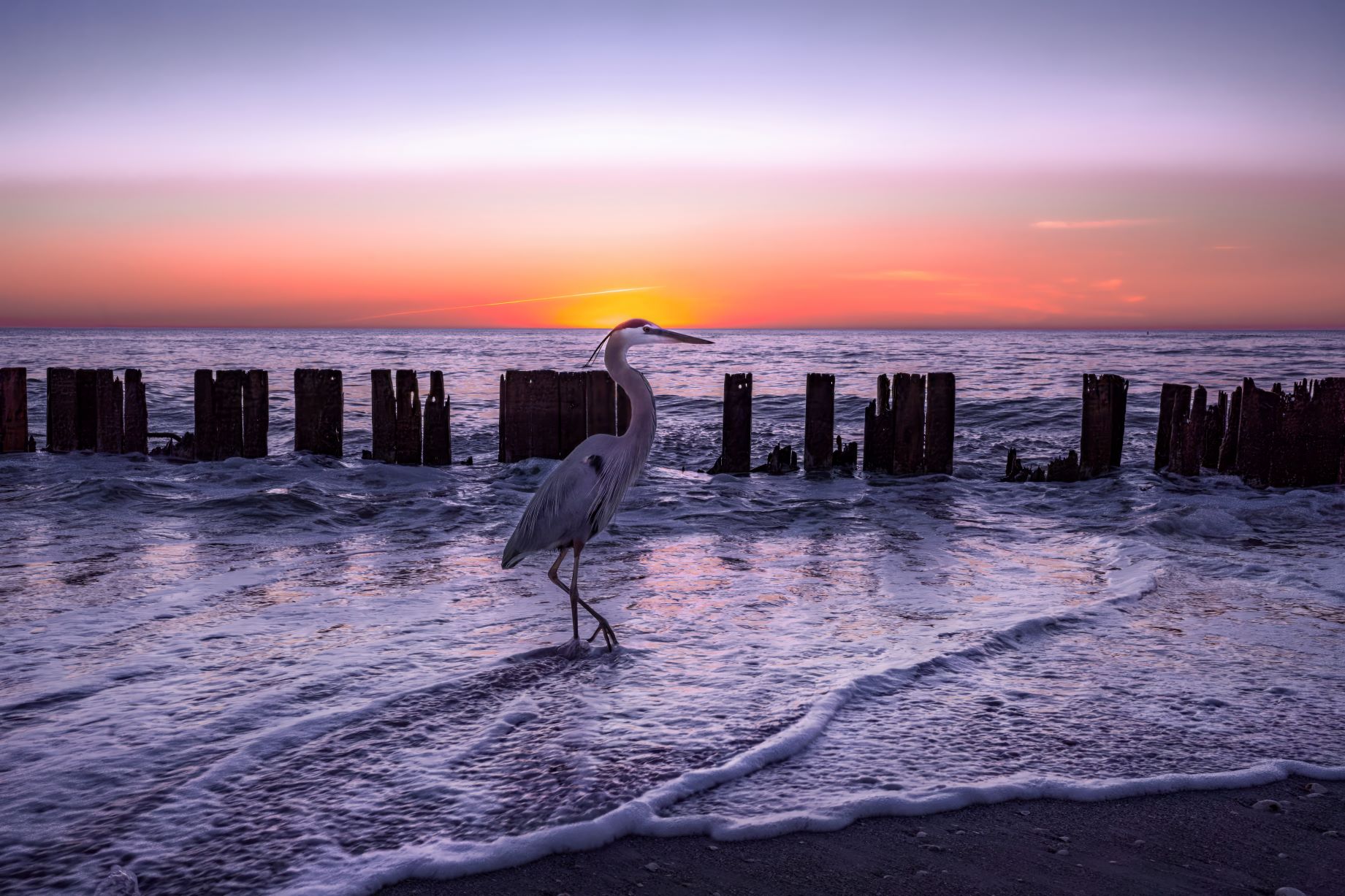 Florida