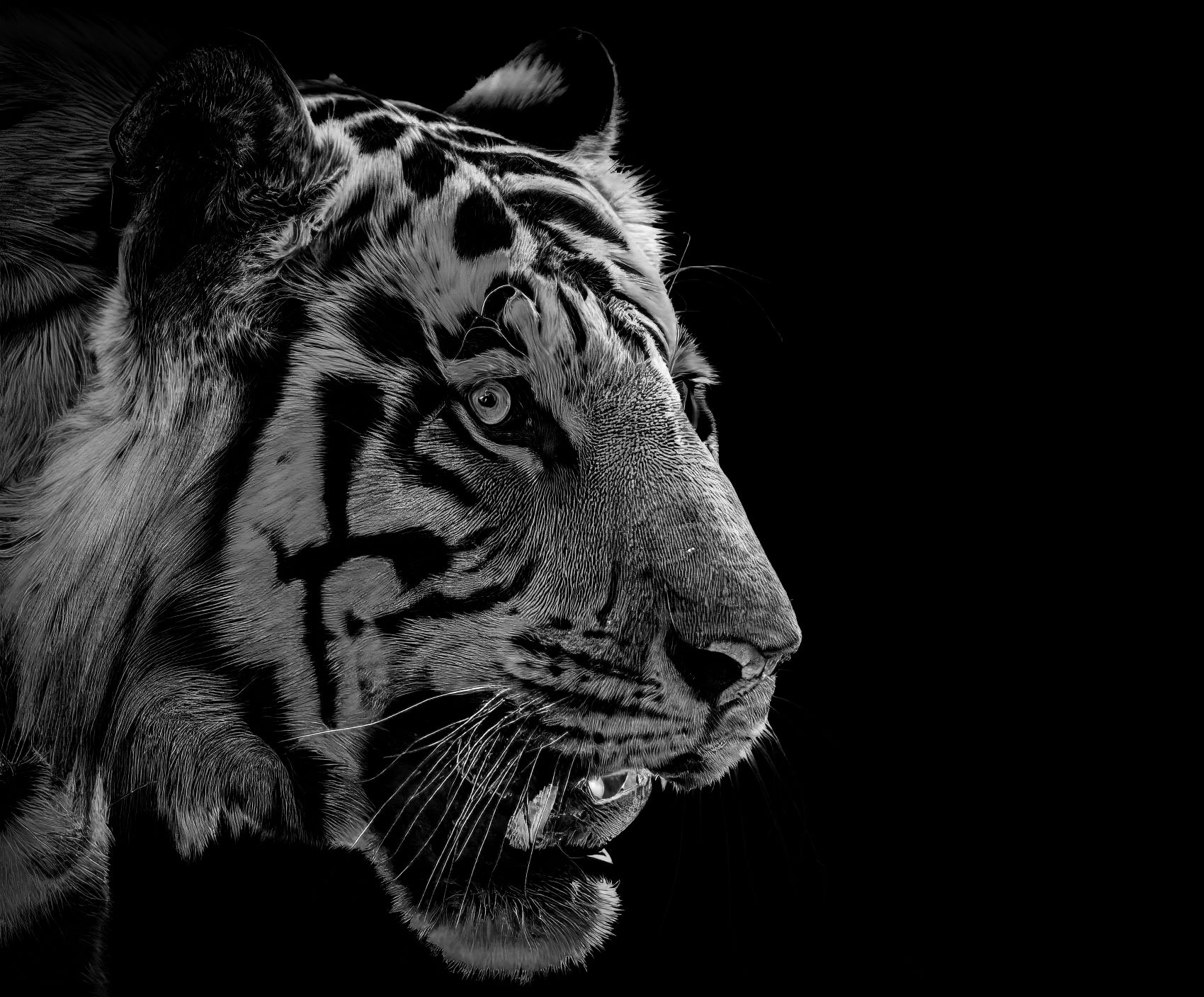 Focused